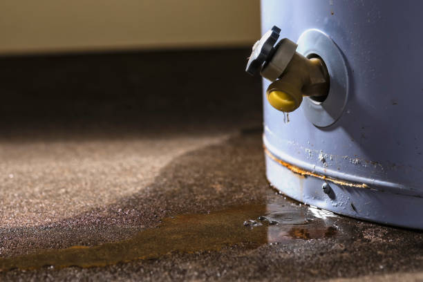 Best Water damage contractors near me  in Grandy, NC