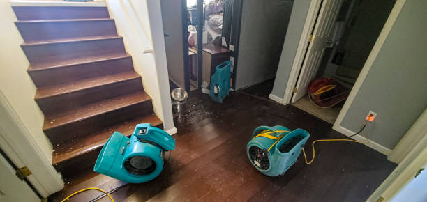 Best Water damage repair service  in Grandy, NC