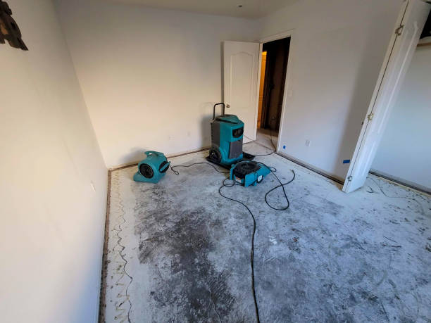 Best Flood restoration services  in Grandy, NC