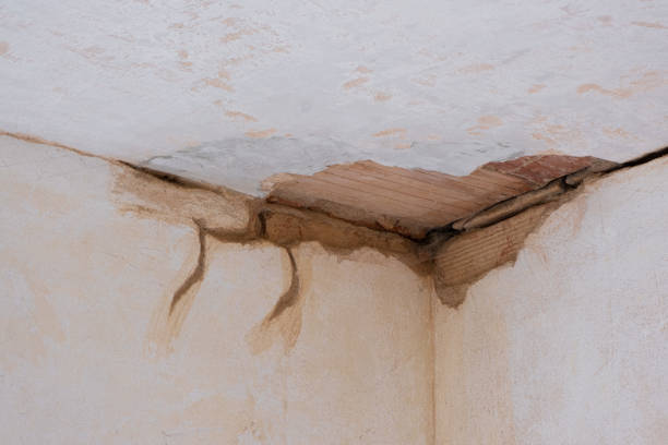 Best Residential water damage restoration  in Grandy, NC
